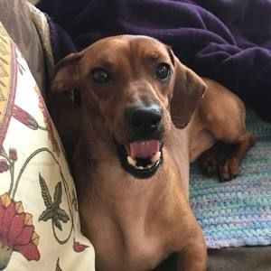 Meet your Posher, Keri